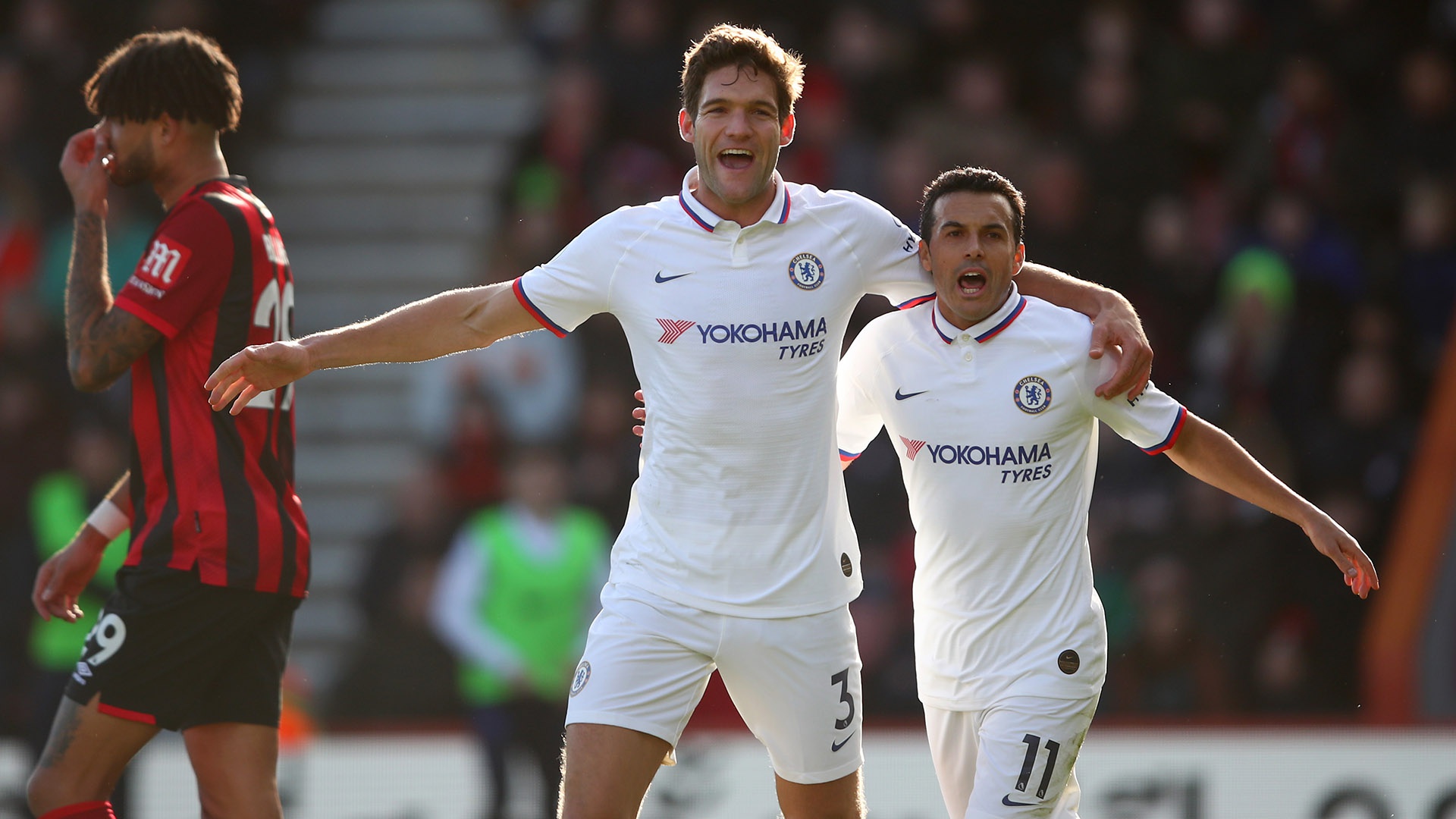 上海描绘了 上海描绘了